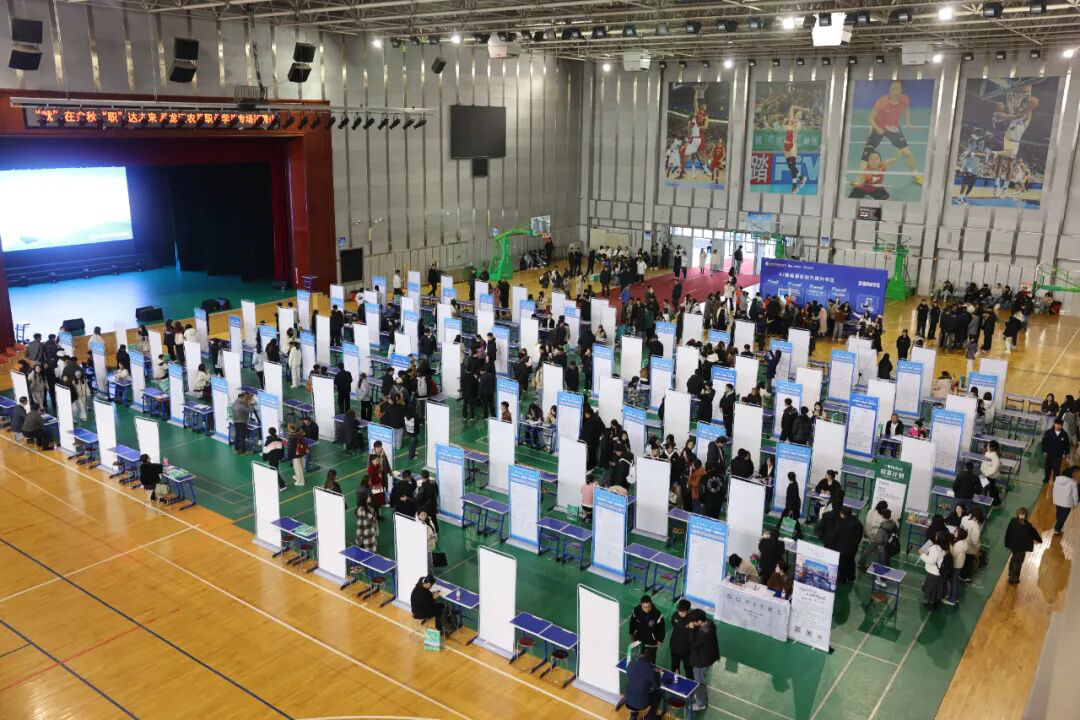 1761056045210375.png 图片1.png