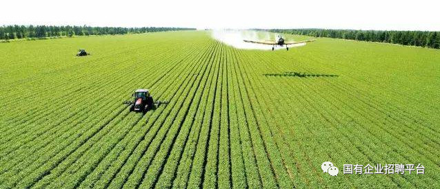 1584755378226602.png image.png