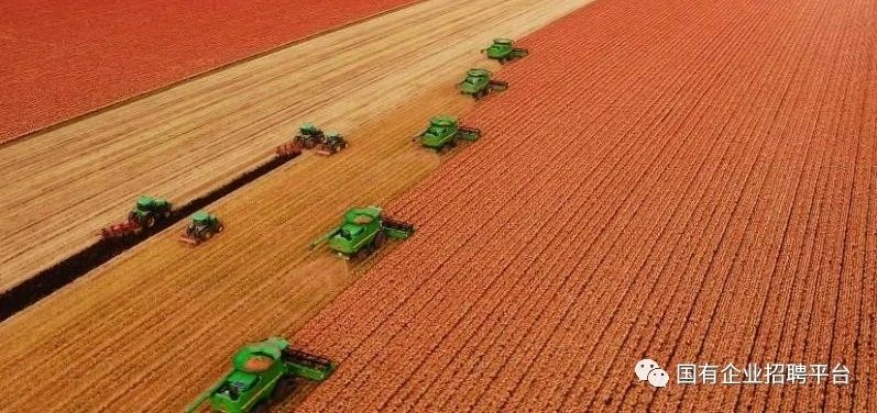 1584755454913417.png image.png