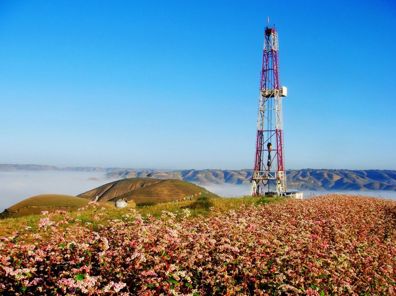 1585899377955023.png image.png