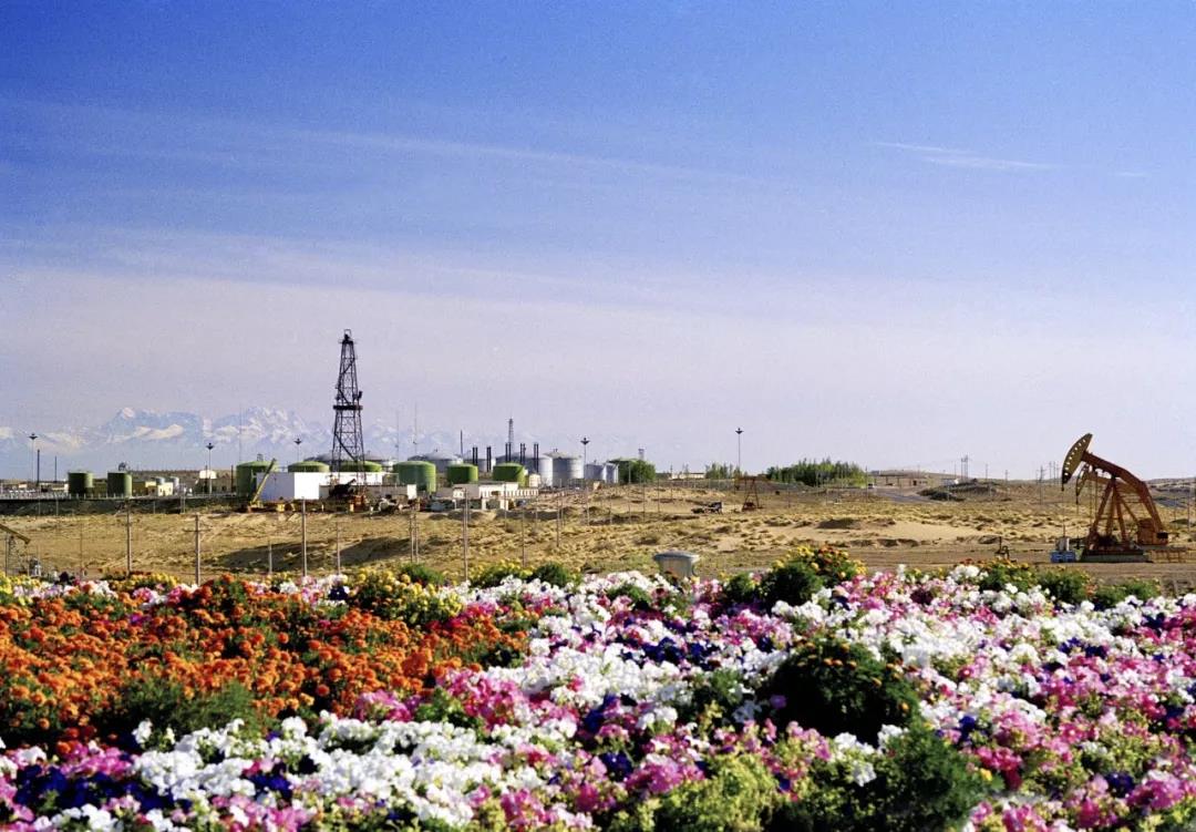 1586069620198851.jpg 1586069620198851.jpg