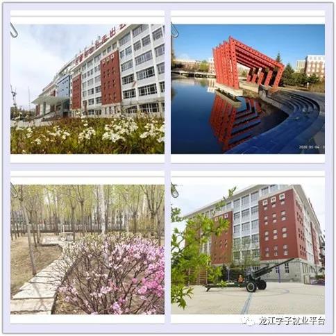 1589376488420429.jpg 微信图片_20200513212749.jpg