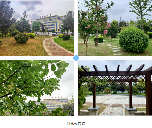 1600047190519740.png 3.png