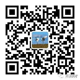 1612783495692430.png image.png