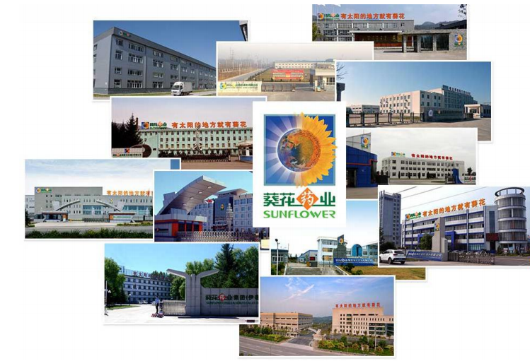 1615793650804483.png 3.png