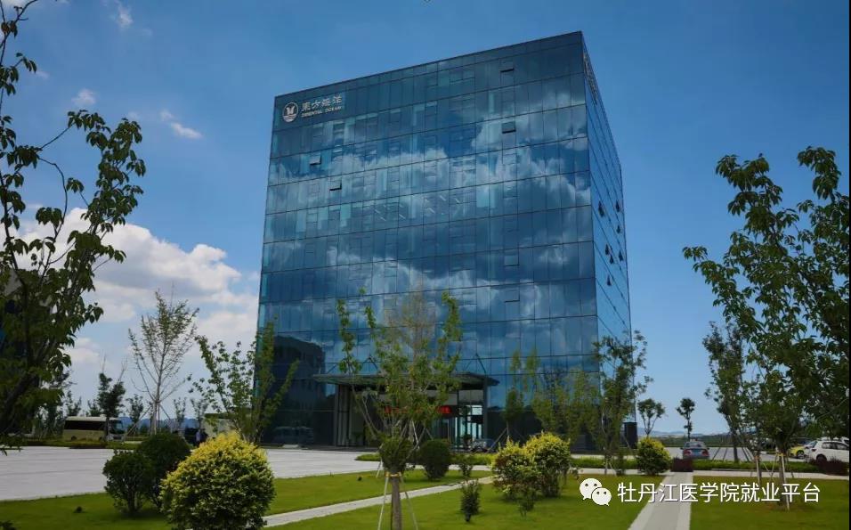 1622634875705039.jpg 3.jpg