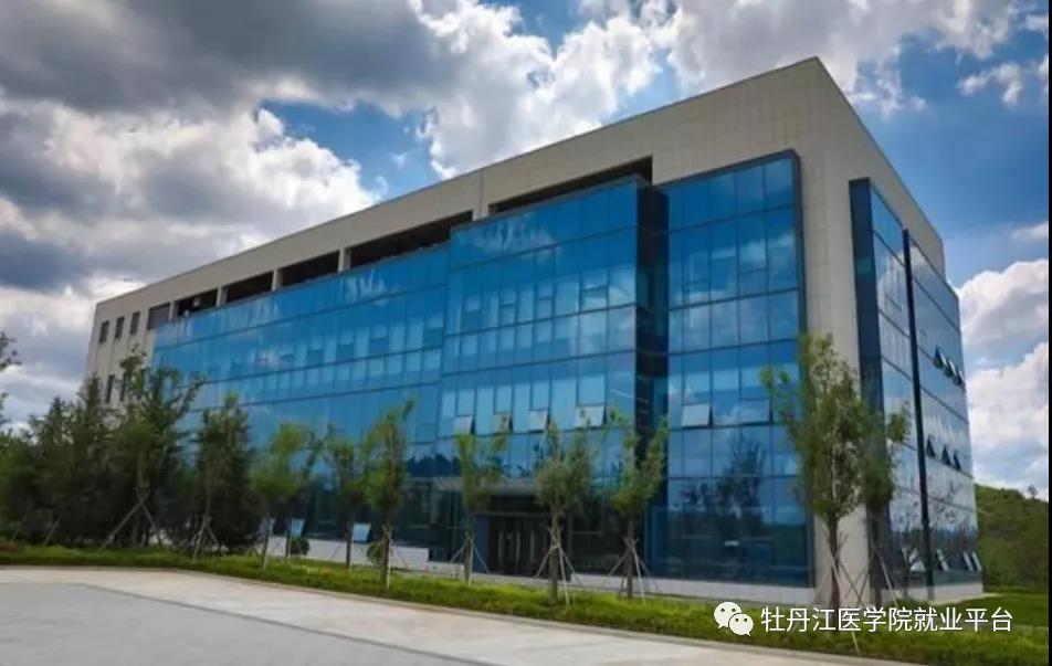 1622634879686502.jpg 4.jpg