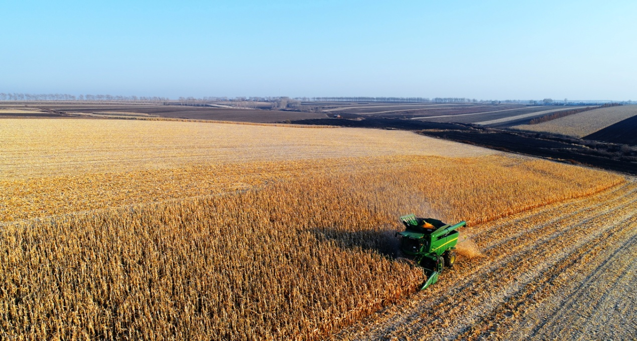 1638171603901258.png 2.png