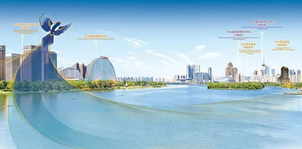 1679447909206054.jpg 93587228a9cd2237ddd52ba9aed2f2b3.jpg