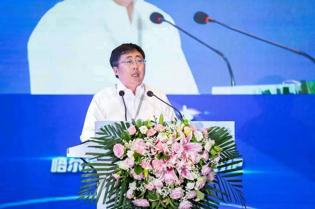 1691542640678576.jpg 1691542640678576.jpg