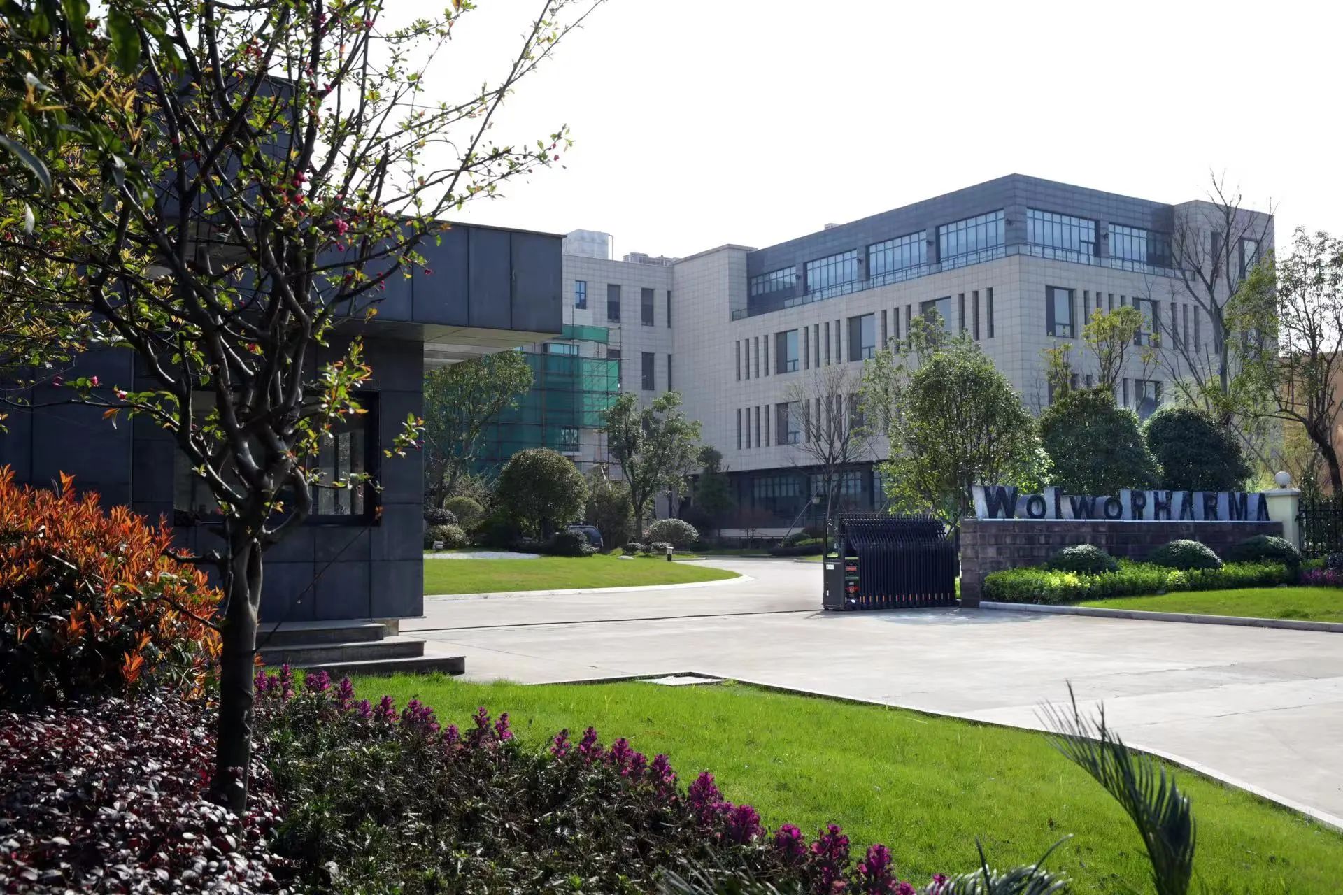 1693925971319870.jpg 1693925971319870.jpg