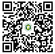 1736216791491028.png image.png