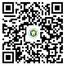 1741151682858951.png image.png