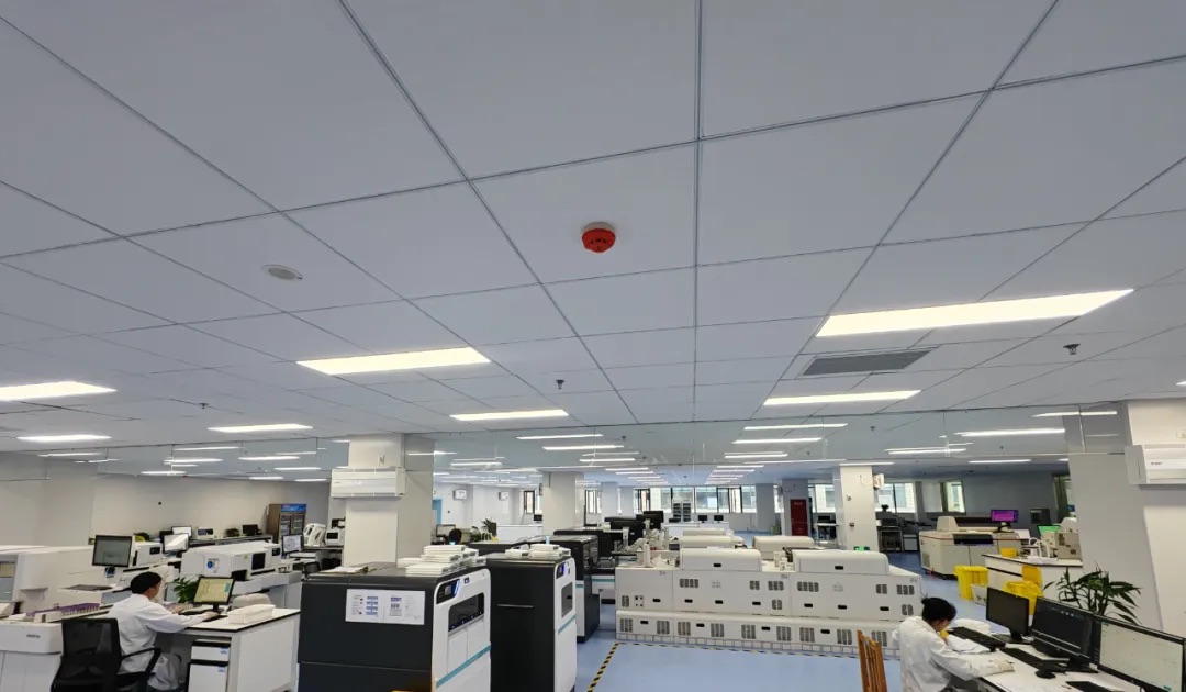 1742967674634676.jpeg 5.jpeg