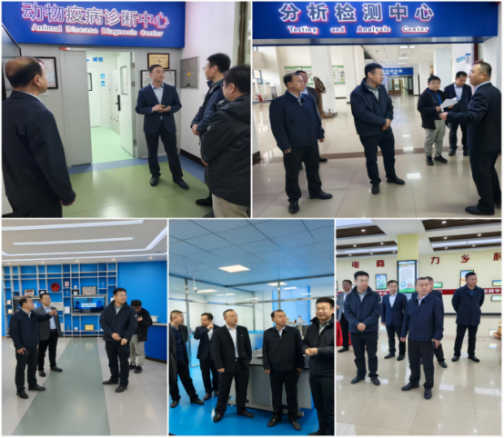 1745561104524698.png 农业经济2.png